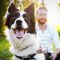 Happy Dog and Man at Utica Shale RV Park